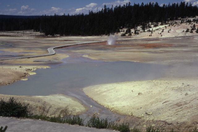 Colloidal Pool - Hot Springs, Norris Geyser Basin Picture