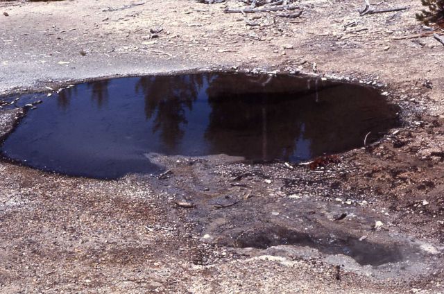 Corporal Geyser & Dog Leg Spring - Hot Springs, Norris Geyser Basin Picture