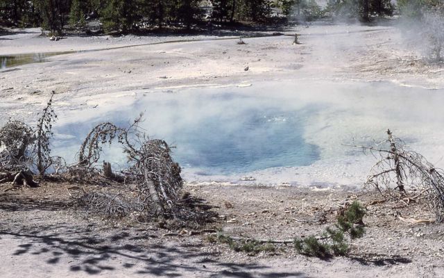 Yellow Mud Spring - Hot Springs, Norris Geyser Basin Picture
