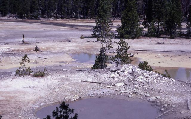 Dishwater Spring - Hot Springs, Norris Geyser Basin Picture