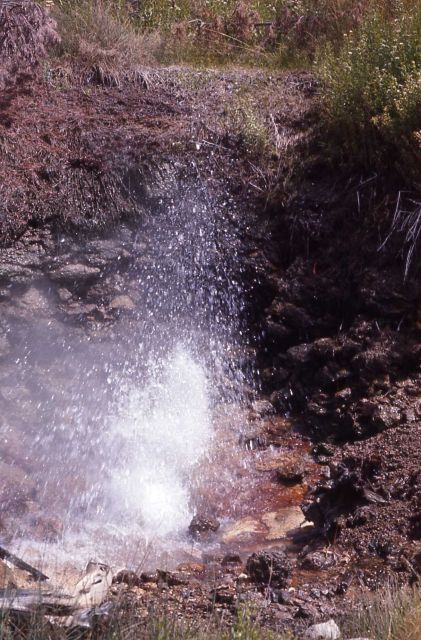 Big Alcove Spring - Hot Springs, Norris Geyser Basin Picture