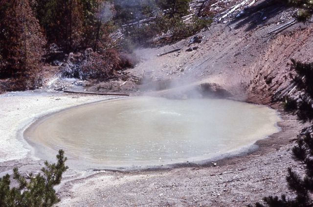 Black Hermit Caldron - Hot Springs, Norris Geyser Basin Picture