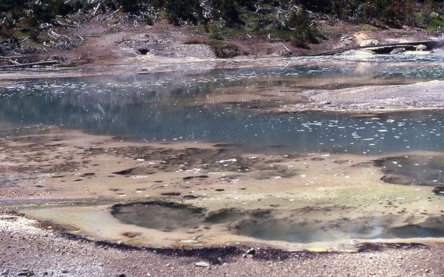 Crackling Lake - Hot Springs, Norris Geyser Basin Picture