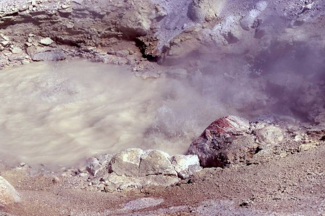 Growler Spring - Hot Springs, Norris Geyser Basin Picture
