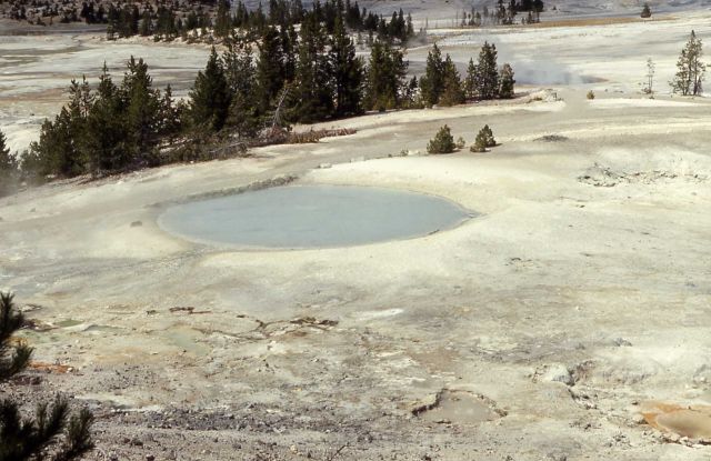 Congress Pool - Hot Springs, Norris Geyser Basin Picture