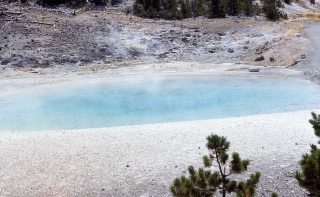Congress Pool - Hot Springs, Norris Geyser Basin Picture