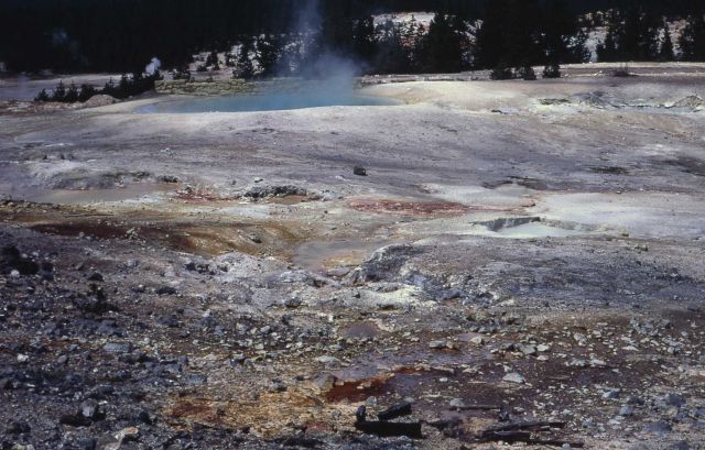 Vermillion Springs - Hot Springs, Norris Geyser Basin Picture