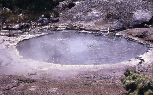 Spring at south end of Gray Lakes - Hot Springs, Norris Geyser Basin Picture