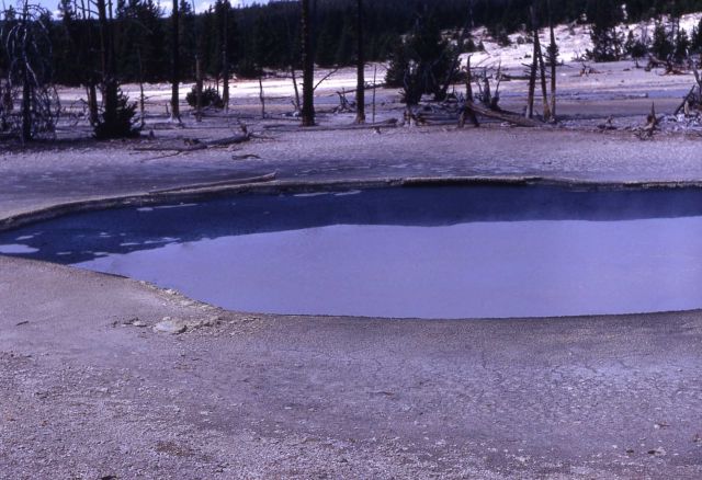 Cinder Pool - Hot Springs, Norris Geyser Basin Picture