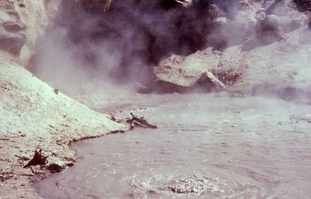 Activity in front of Green Dragon Spring - Hot Springs, Norris Geyser Basin Picture