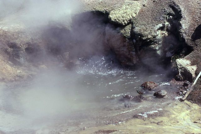 Gray Lakes Spring - Hot Springs, Norris Geyser Basin Picture