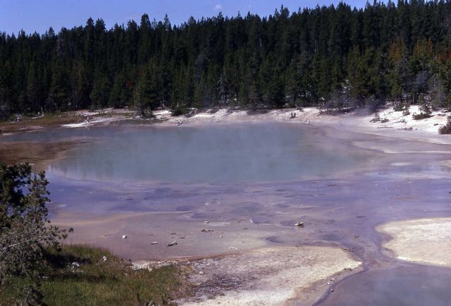 Gray Lakes looking south - Hot Springs, Norris Geyser Basin Picture