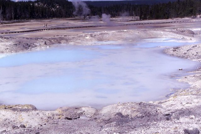 Swiss Cheese Pool - Hot Springs, Norris Geyser Basin Picture