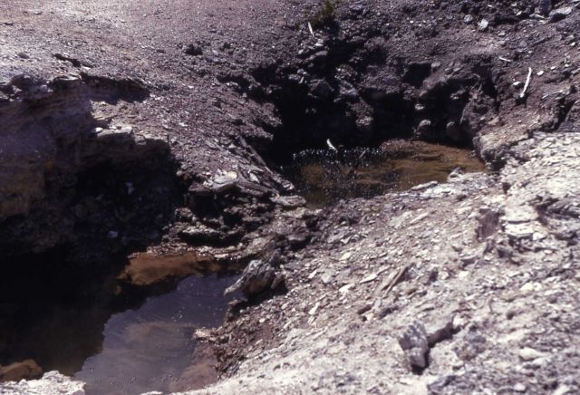 Hydrophane Spring - Hot Springs, Norris Geyser Basin Picture
