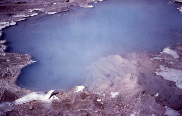 Coral Spring - Hot Springs, Norris Geyser Basin Picture