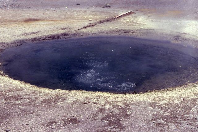 Horseshoe Spring - Hot Springs, Norris Geyser Basin Picture