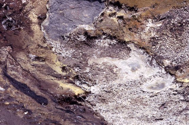 Orpiment Spring - Hot Springs, Norris Geyser Basin Picture