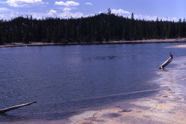 The Reservoir - Hot Springs, Norris Geyser Basin Picture
