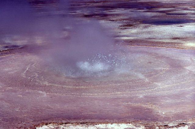 Onyx Spring - Hot Springs, Norris Geyser Basin Picture