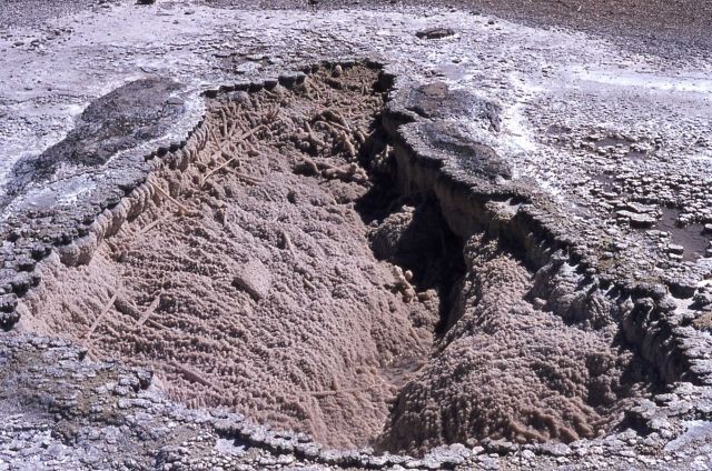 Dr Morey's Porkchop Geyser - Hot Springs, Norris Geyser Basin Picture
