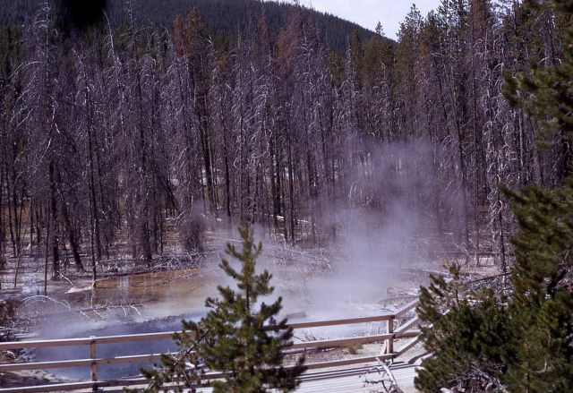 Cistern Spring with sinter - Hot Springs, Norris Geyser Basin Picture