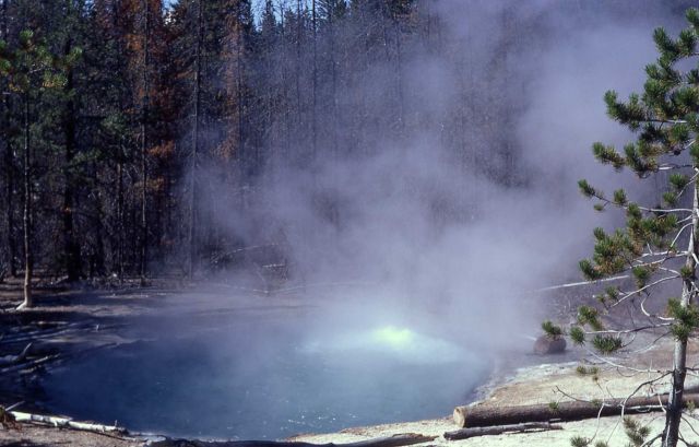 Cistern Spring - Hot Springs, Norris Geyser Basin Picture