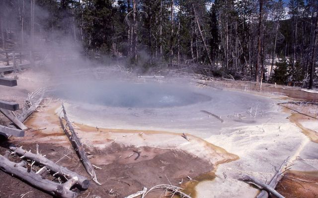 Cistern Spring - Hot Springs, Norris Geyser Basin Picture