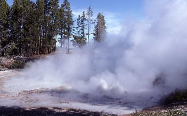 Emerald Spring - unusual activity - Hot Springs, Norris Geyser Basin Picture