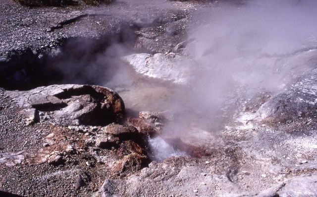 Crater Spring - Hot Springs, Norris Geyser Basin Picture