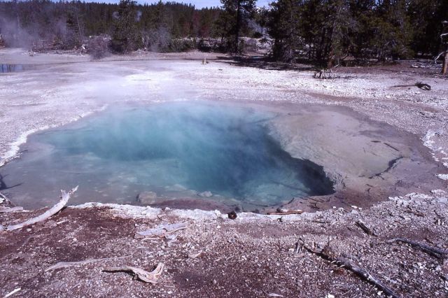 Mystic Spring - Hot Springs, Norris Geyser Basin Picture