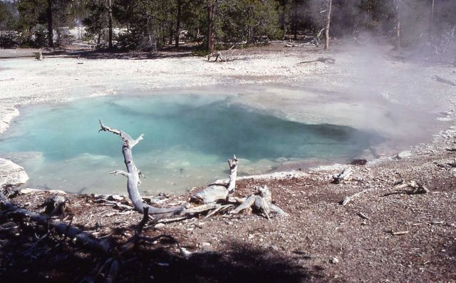 Mystic Spring - Hot Springs, Norris Geyser Basin Picture
