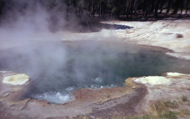 Emerald Spring - Hot Springs, Norris Geyser Basin Picture