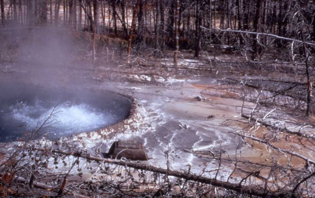 Cistern Spring - Hot Springs, Norris Geyser Basin Picture