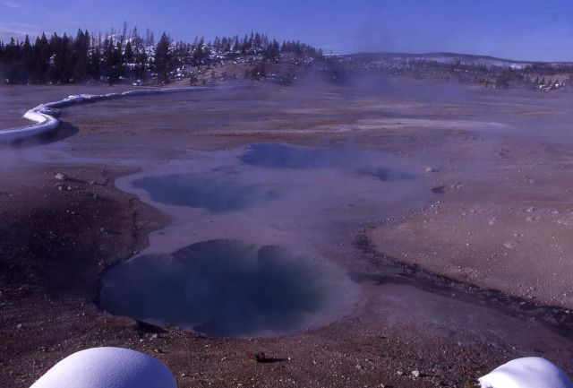 Colloidal Pool - Hot Springs, Norris Geyser Basin Picture
