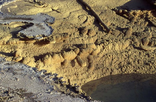 Cistern Spring emptying after May 2, 2000 Steamboat eruption - Hot Springs, Norris Geyser Basin Picture