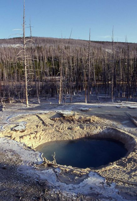 Cistern Spring emptying after May 2, 2000 Steamboat eruption - Hot Springs, Norris Geyser Basin Picture