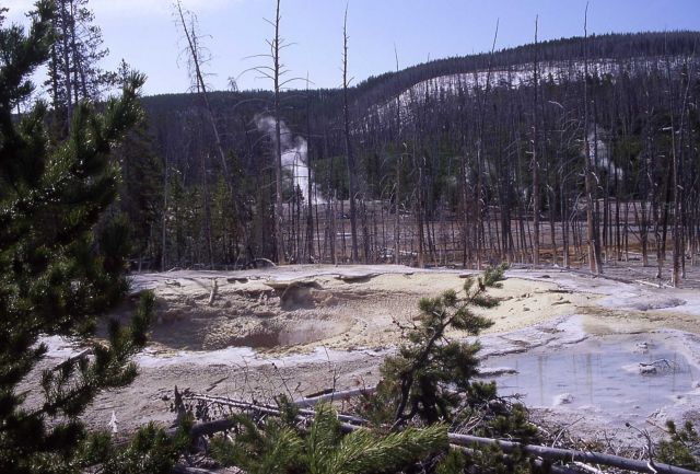 May 3, 2000 10:00 AM - Cistern Spring empty after May 2, 2000 5:00 AM eruption of Steamboat Geyser - Hot Springs, Norris Geyser Basin Picture