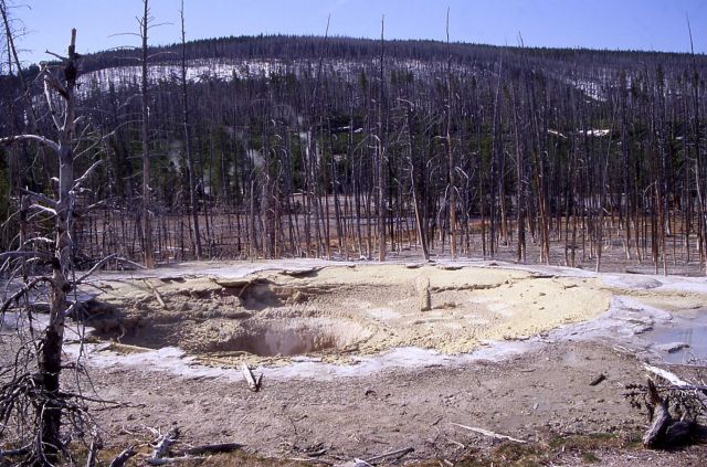 May 3, 2000 10:00 AM - Cistern Spring empty after May 2, 2000 5:00 AM eruption of Steamboat Geyser - Hot Springs, Norris Geyser Basin Picture