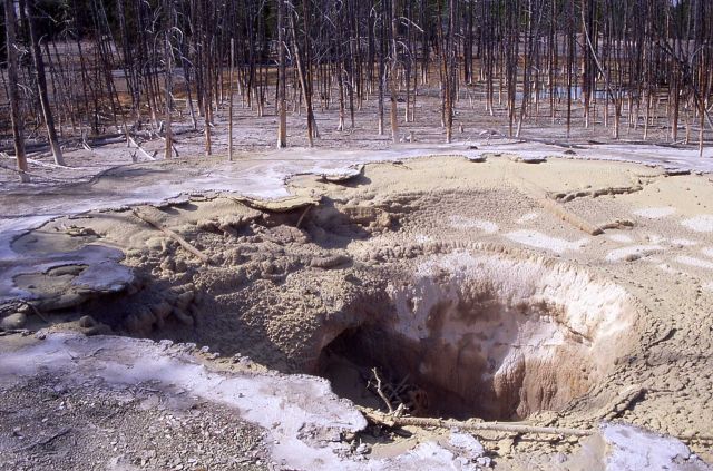 May 3, 2000 10:00 AM - Cistern Spring empty after May 2, 2000 5:00 AM eruption of Steamboat Geyser - Hot Springs, Norris Geyser Basin Picture