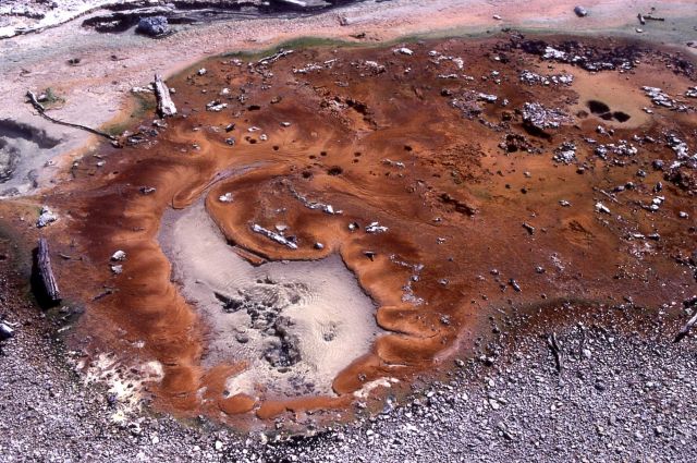 Thermal patterns at Norris Geyser Basin - Hot Springs, Norris Geyser Basin Picture