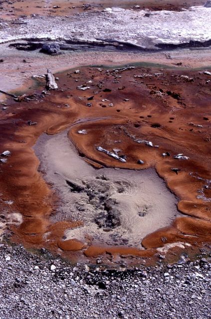 Thermal patterns at Norris Geyser Basin - Hot Springs, Norris Geyser Basin Picture
