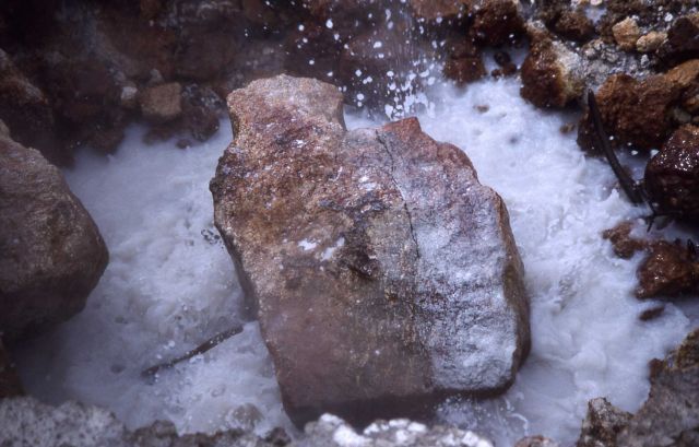 Congress Pool area - hot acid - Hot Springs, Norris Geyser Basin Picture
