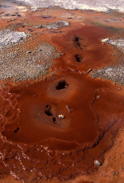 Springs across boardwalk from Whirligig - Hot Springs, Norris Geyser Basin Picture