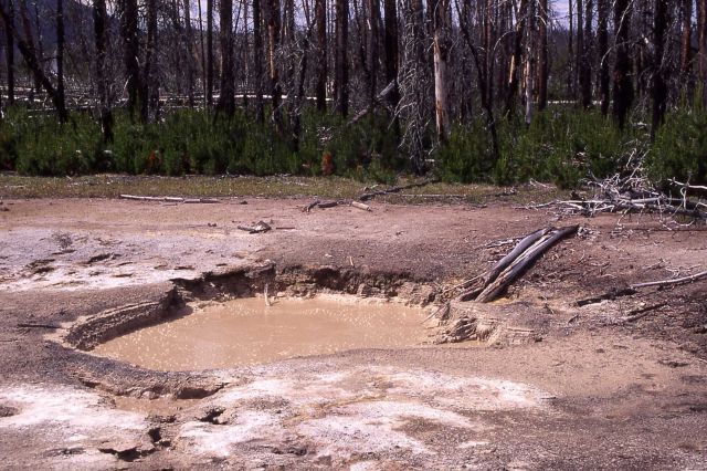One Hundred Spring Plain - Hot Springs, Norris Geyser Basin Picture