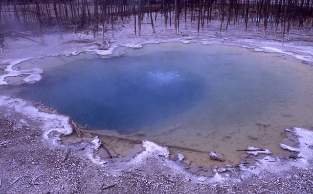 Cistern Spring - Hot Springs, Norris Geyser Basin Picture
