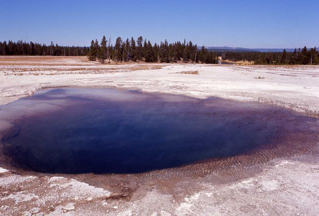 Opal Spring - Hot Springs, Norris Geyser Basin Picture