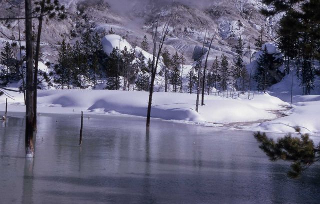 Lemonade Lake - Hot Springs, Norris Geyser Basin Picture