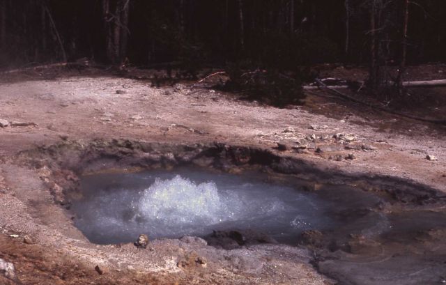 Spring in Gibbon Geyser Basin - Hot Springs, Norris Geyser Basin Picture