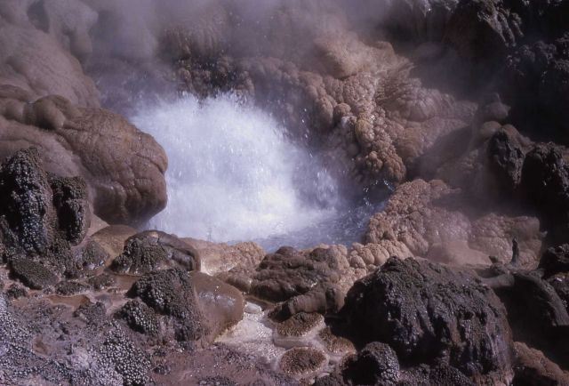 Geyser Springs Group - Hot Springs, Norris Geyser Basin Picture