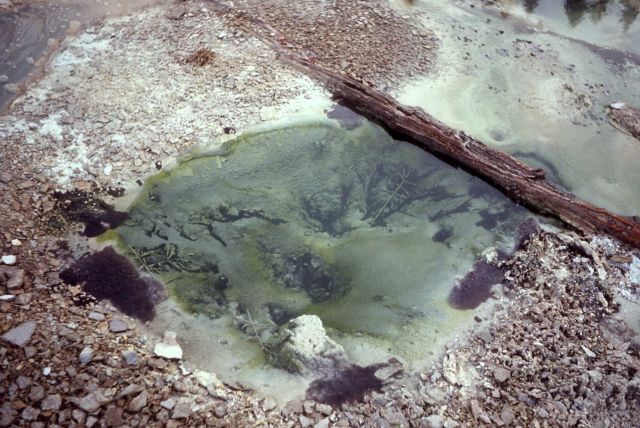 Whales Mouth - Hot Springs, Norris Geyser Basin Picture